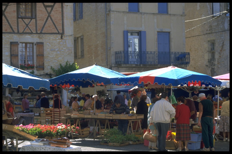 Marché à Catus Catus