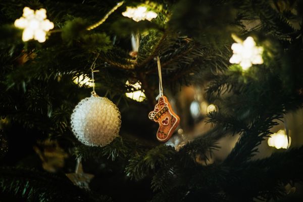 Marché de Noël de Pruniers Pruniers