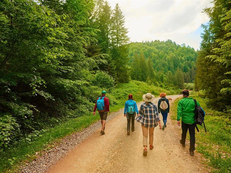 Marche populaire  Rimbach-près-Masevaux