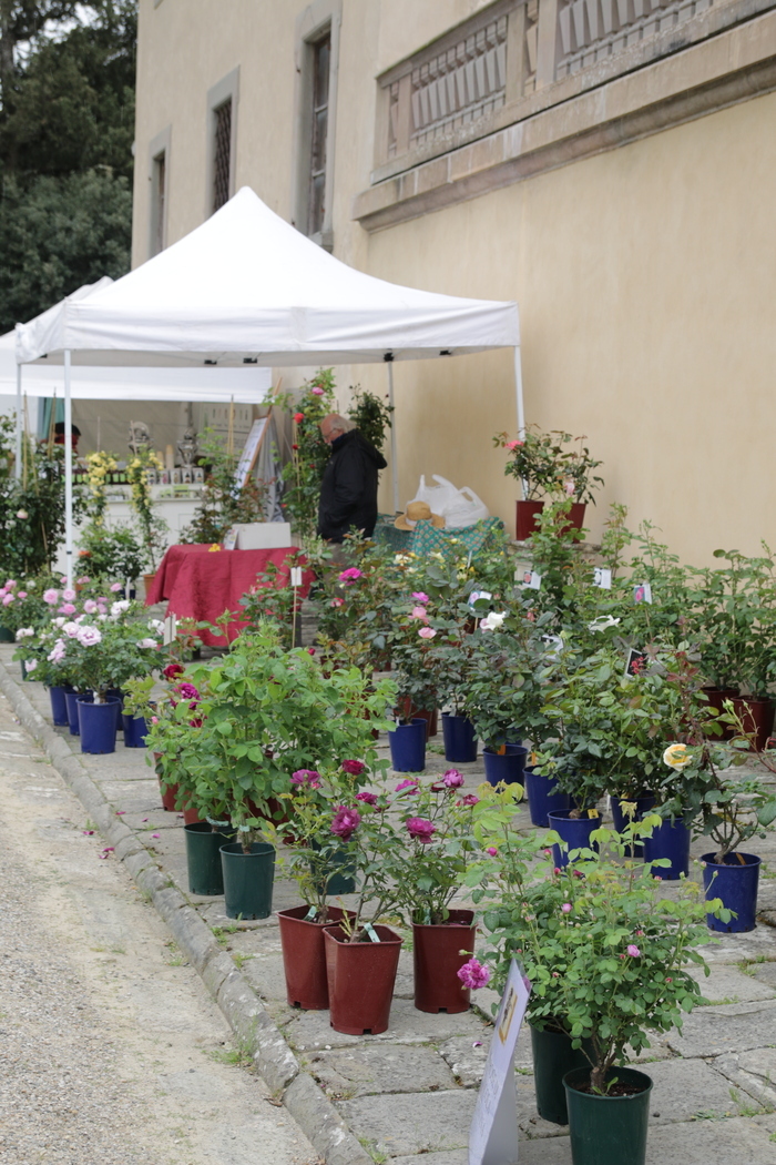 Marché vert, Villa Caruso Bellosguardo Lastra a Signa, Lastra a Signa
