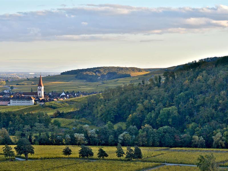 Mini-rallye Découverte du vignoble  Ammerschwihr