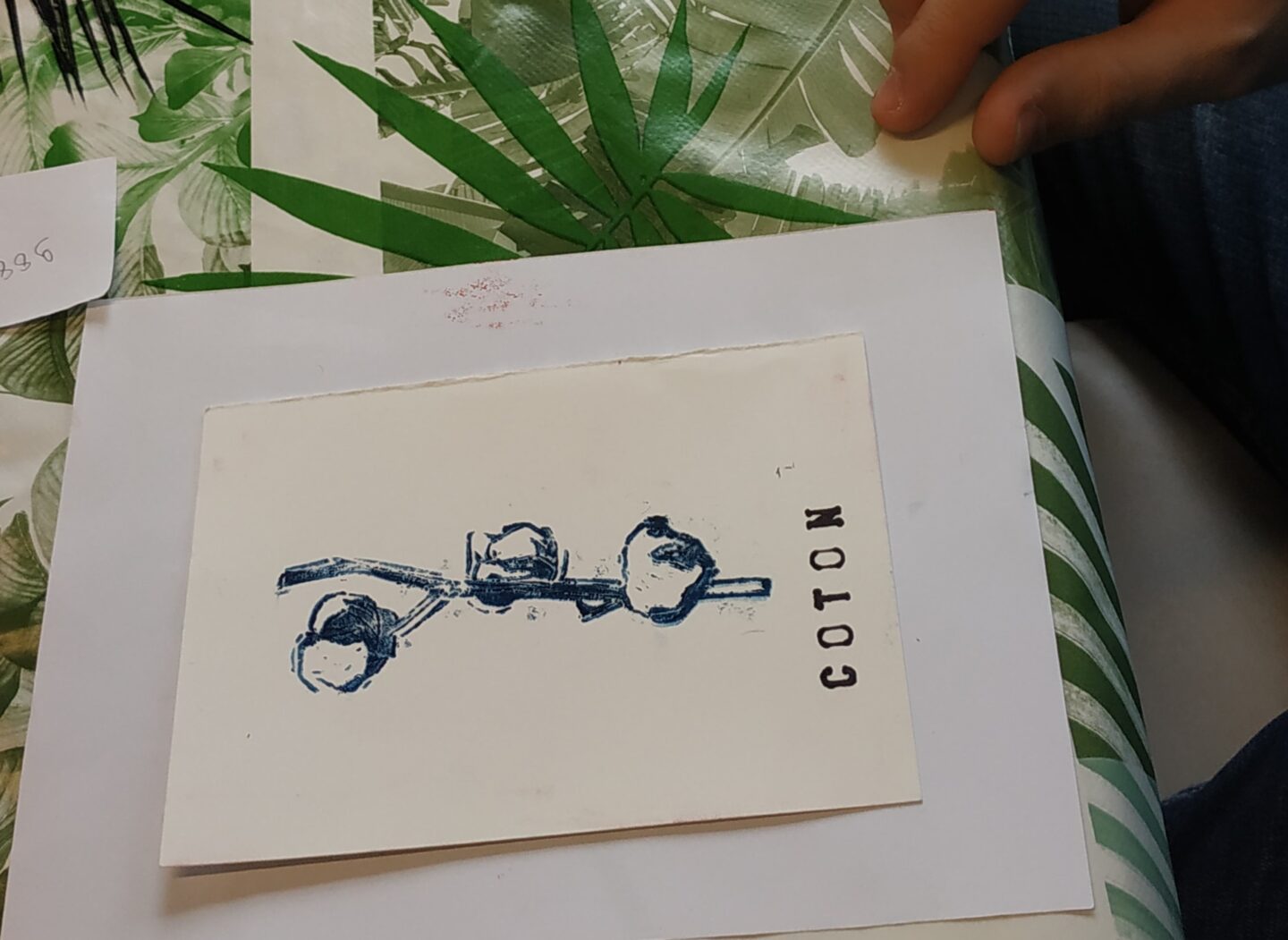 Mon petit herbier imprimé AMI Le Malesherbois