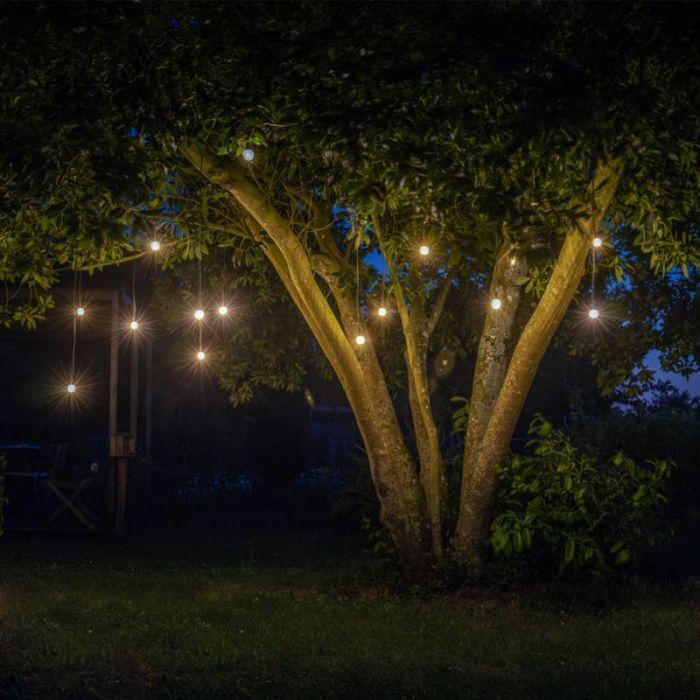 Nocturne de la biodiversité à la ferme de Quincé Ferme de Quincé Rennes