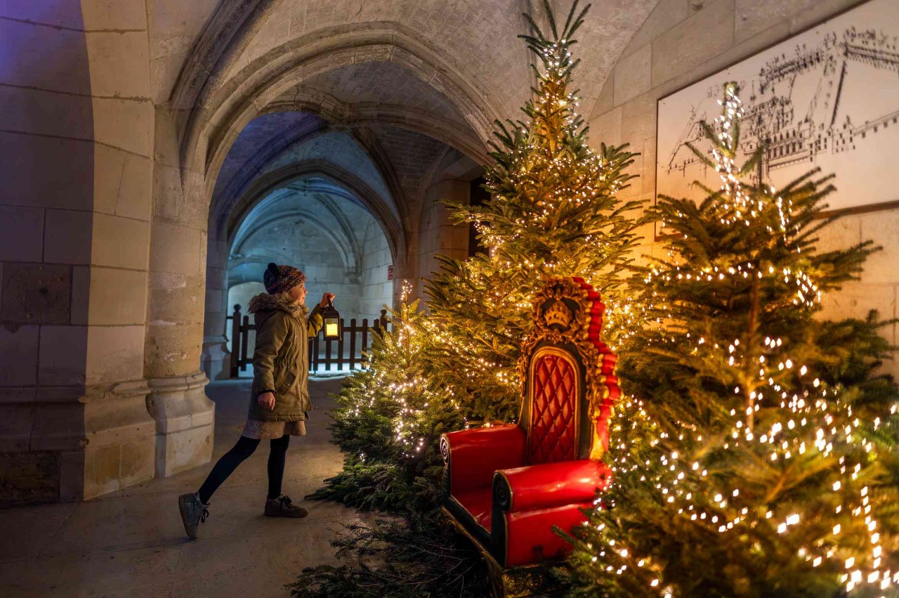 Noël au Pays des Châteaux Le Noël royal des animaux ! Amboise