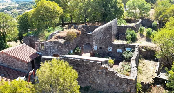 Nuit au Château  Camarès