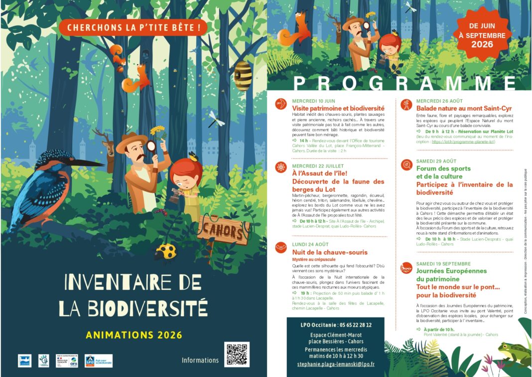 Nuit de la chauve-souris projection et balade nocturne Cahors