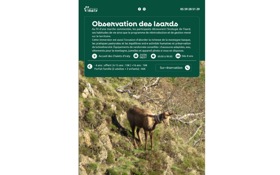 Observation des isards Larrau