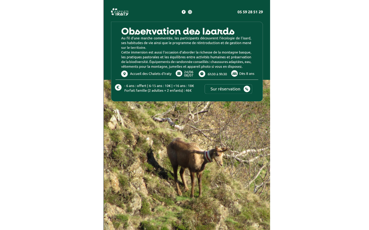 Observation des isards Larrau