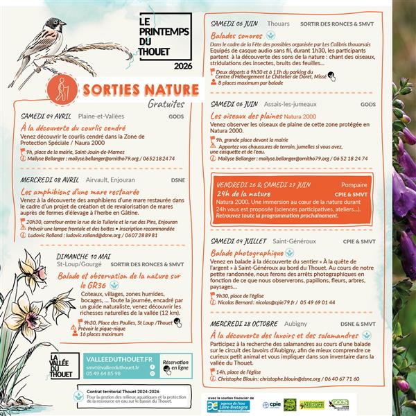 Observation des oiseaux en canoë Availles-Thouarsais