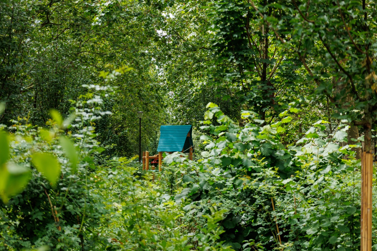 On aperçoit l'aire de jeux de l'avenue-jardin de Bouvines à travers les arbres