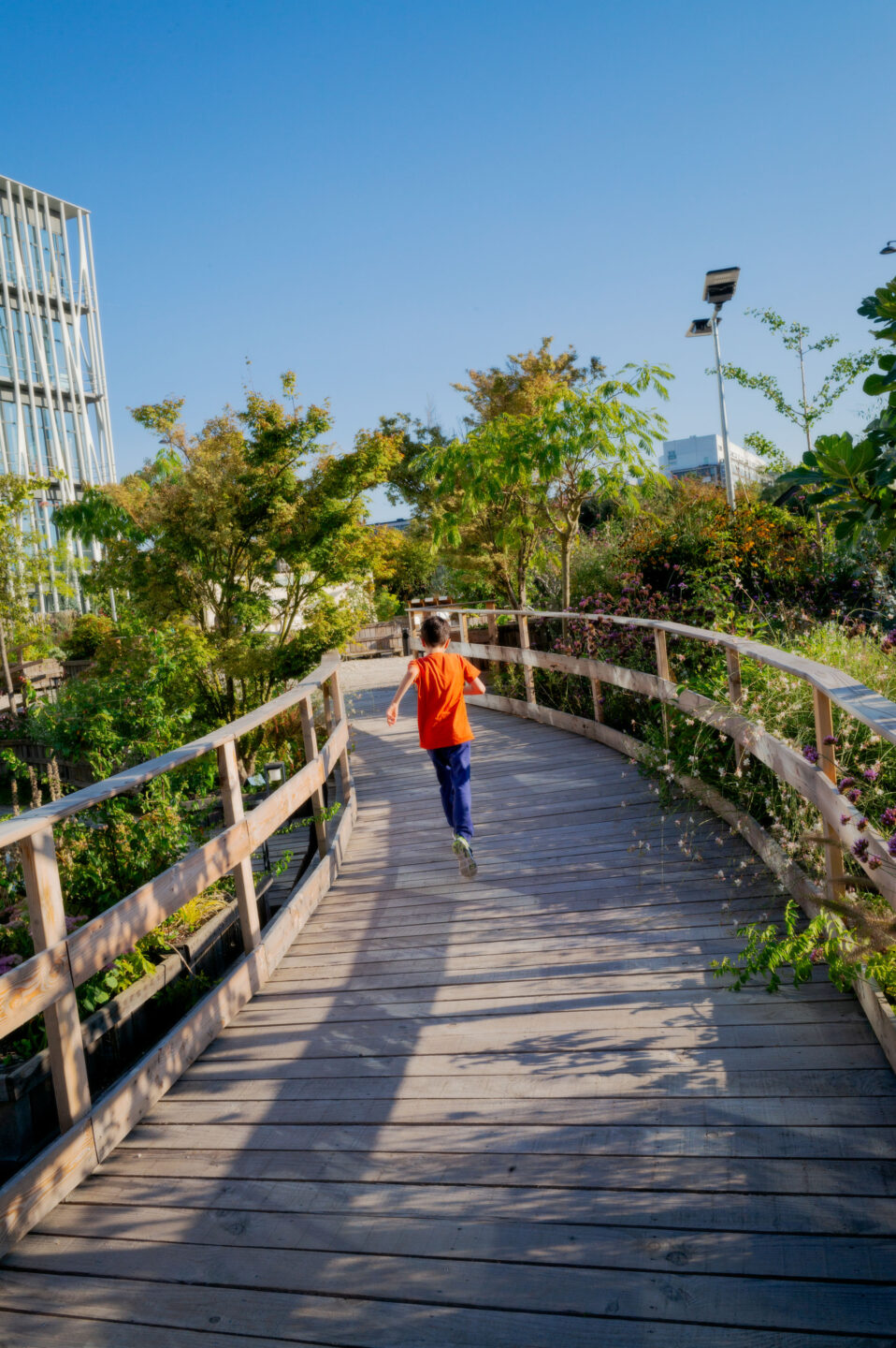 La Parcelle, jardin culturel à Porte d'Aubervilliers