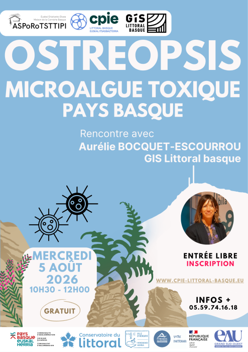 Ostréopsis microalgue toxique en Pays Basque Rencontre avec Aurélie Bocquet-Escourrou Asporotsttipi Maison de la Corniche Hendaye 2026-08-05