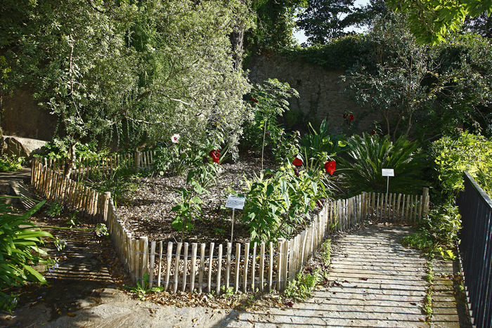Ouverture estivale du jardin, Jardin du Musée Jules Verne, Nantes