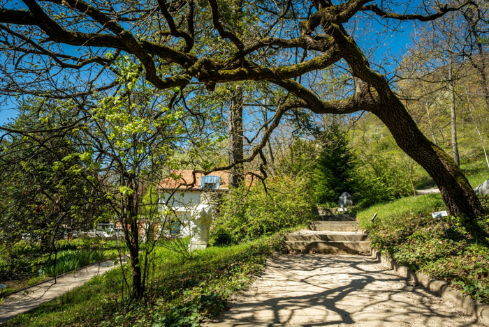 Panorama du jardin Pinter, Pintér-kert Arborétum, Pécs