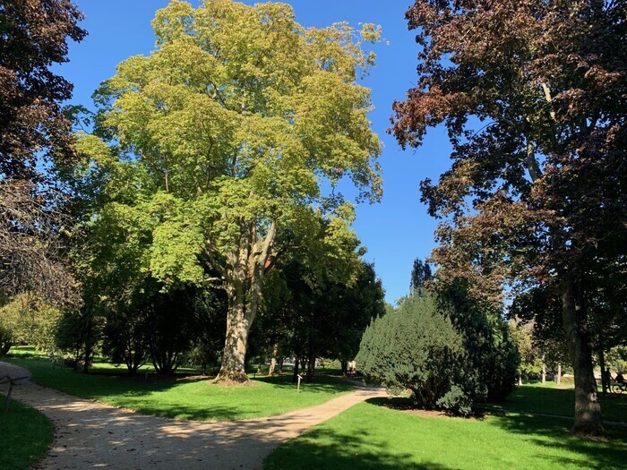 Parcours de l’arbre, Le Petit Jard, Châlons-en-Champagne