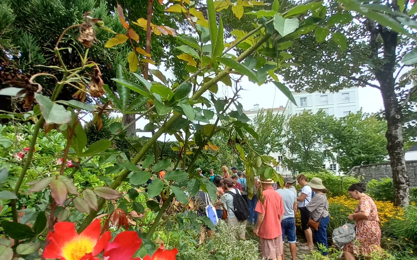 Pause Patrimoine les jardins acte II le jardin botanique Jardin Botanique Bayonne