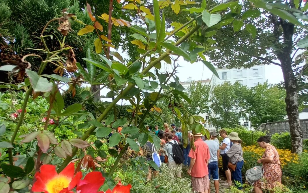 Pause Patrimoine les jardins acte II le jardin botanique Jardin Botanique Bayonne