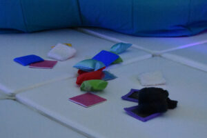 Petits Mondes Sensibles 234 Rue des Ponts Amilly 2026-07-22
