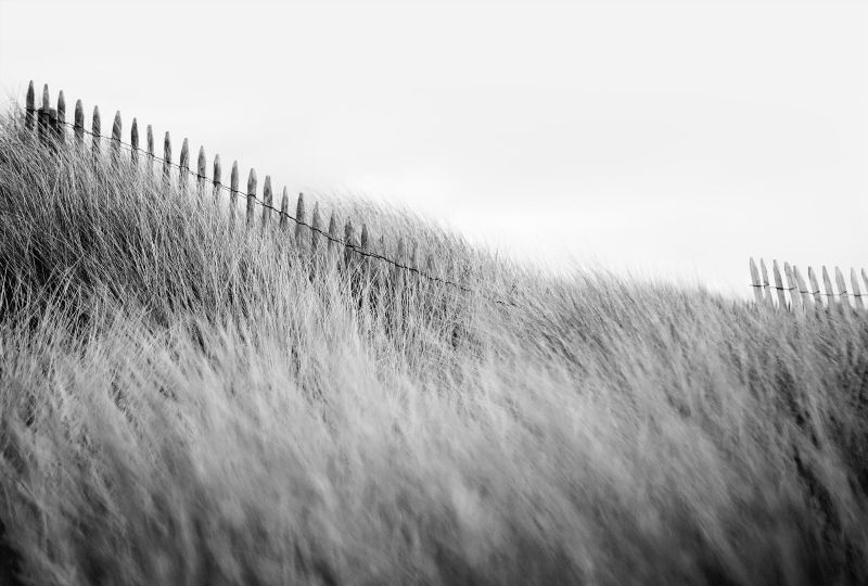 Photographies de Nicolas Evariste Saint Martin de Bréhal Bréhal