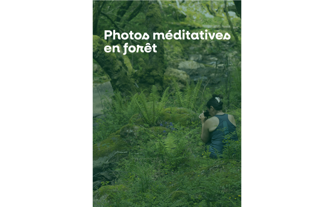 Photos méditatives en forêt  Larrau