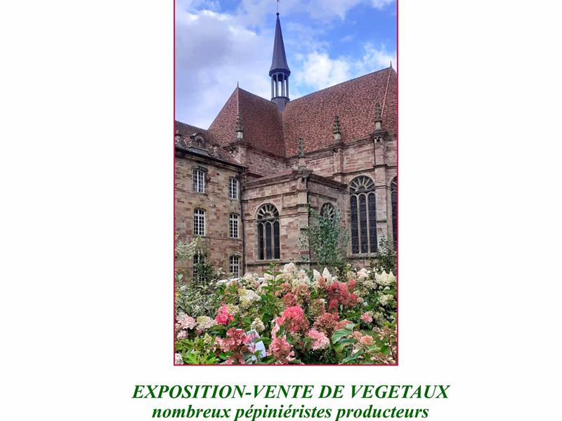 Plantes en fête à l&rsquo;Abbaye d&rsquo;Autrey  Autrey