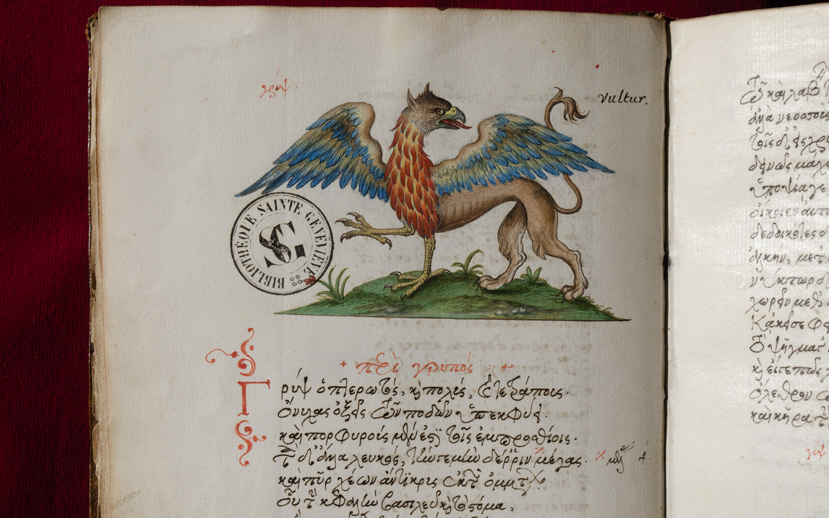 Plongez-vous dans les « merveilles » de la bibliothèque Sainte-Geneviève ! Bibliothèque Sainte-Geneviève Paris