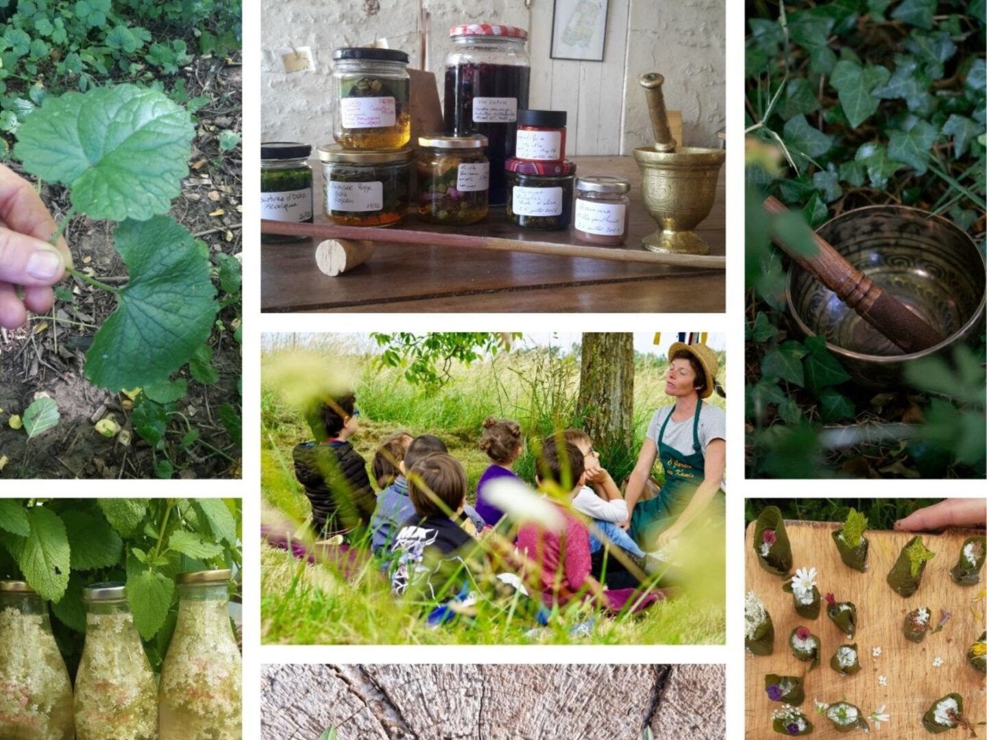 Programme des ateliers et stages d’Ô Jardin des Kamis Ô Jardin des Kamis Saint-Sève
