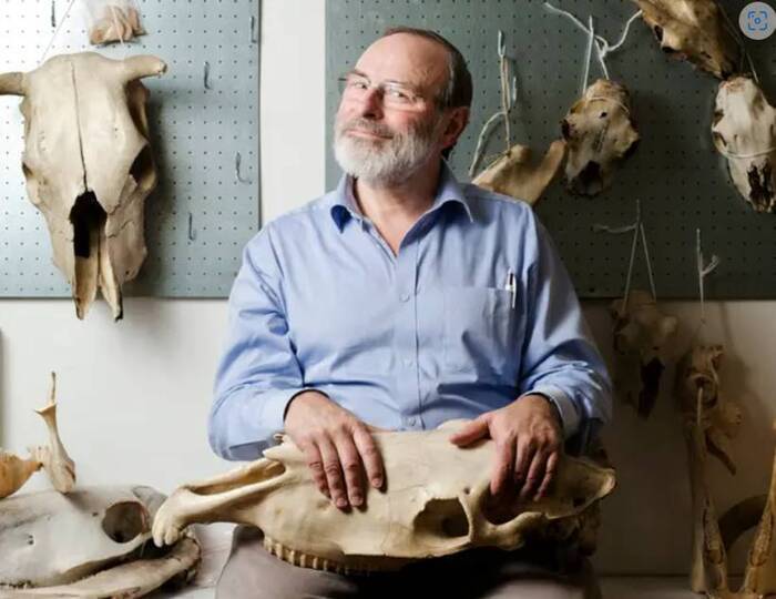 Projection de conférence : Aux origines préhistoriques de la domestication animale, Muséum de Toulouse, Toulouse