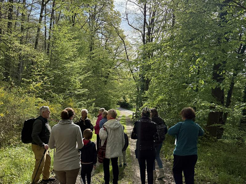 Raconte-moi la forêt Parking du site de la Haute Chevauchée Lachalade