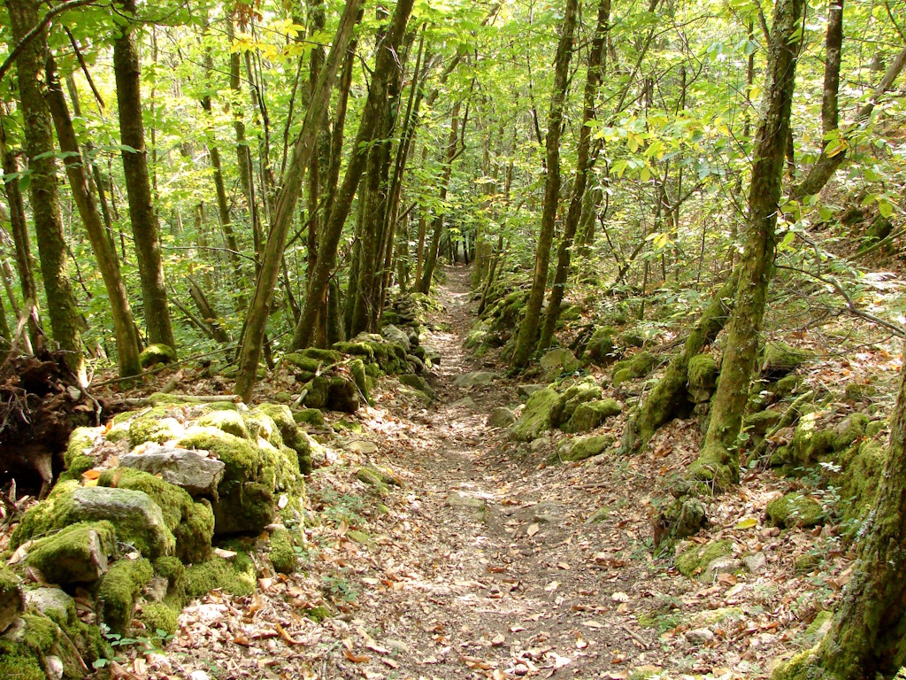 Rallye Nature Vaulry