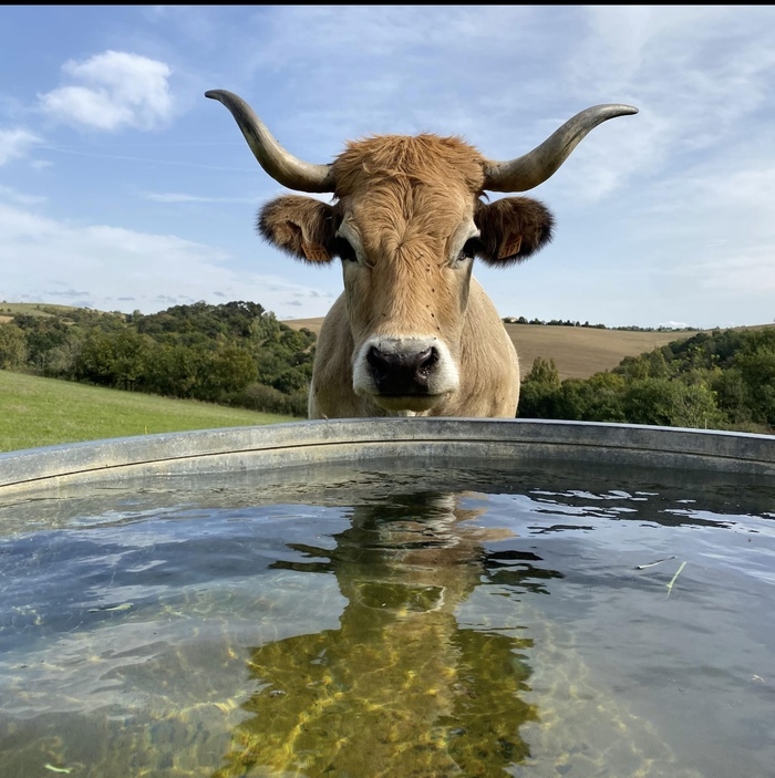 Rando à la ferme et dégustation, La ferme de Plaisance, Montesquieu-Volvestre