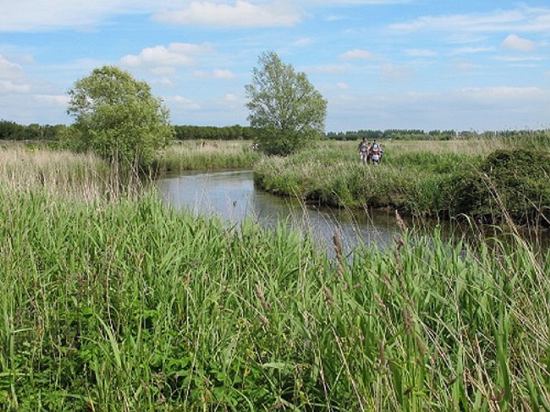 Randonnée dans les marais des Ponts d'Ouve 3 Village Les Ponts Douve Carentan-les-Marais 2026-07-19