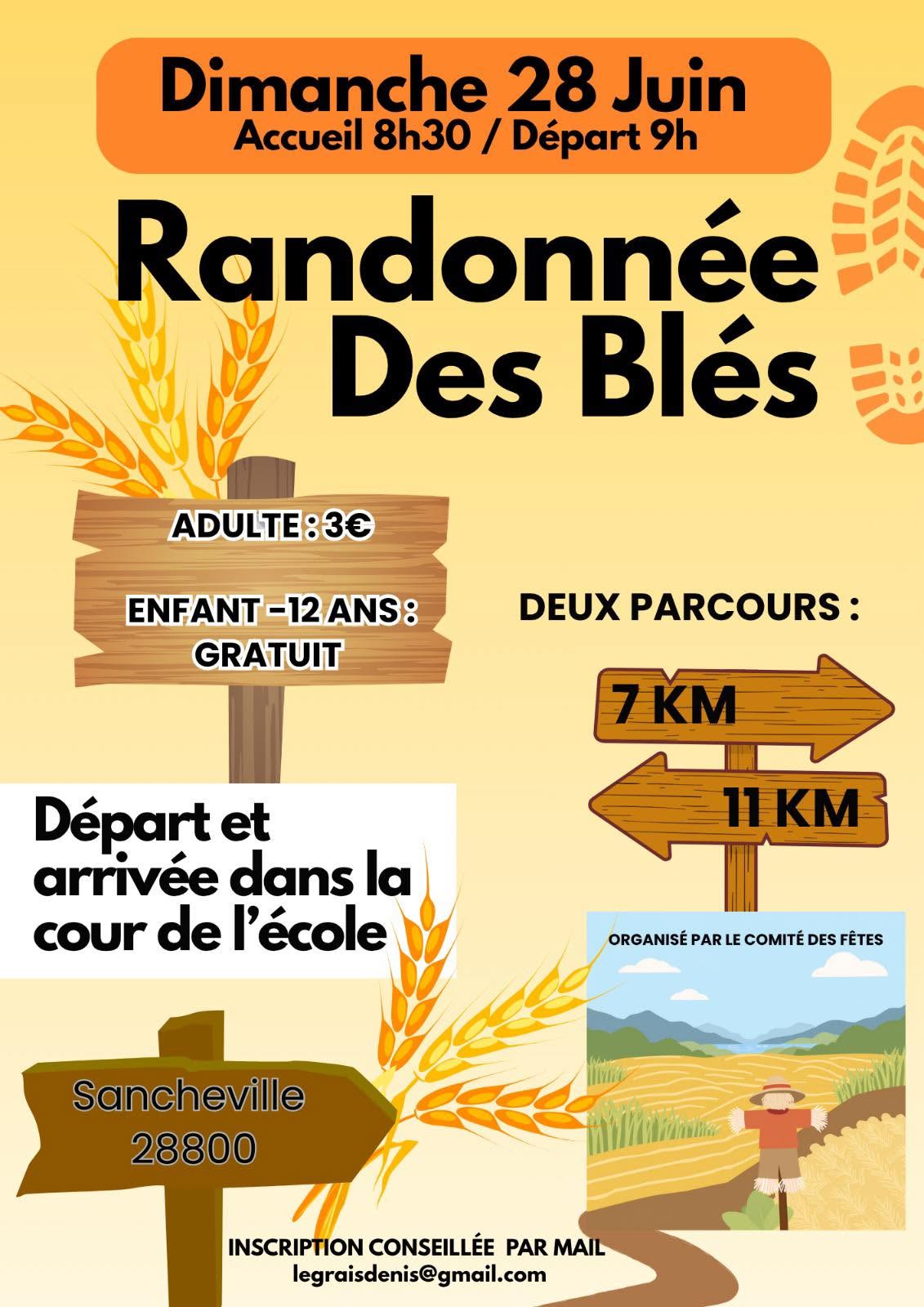 Randonnée des blés Sancheville
