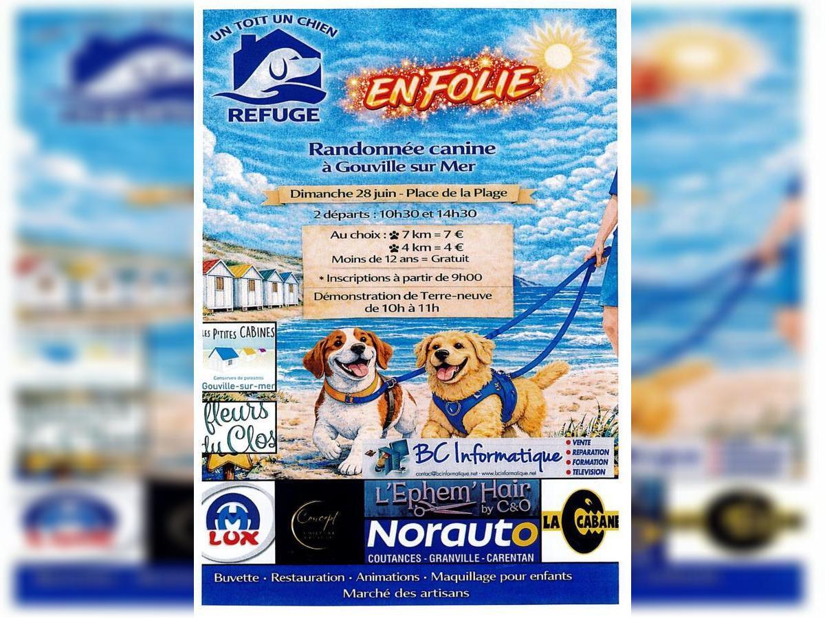 Randonnées canines place de la Plage Gouville-sur-Mer