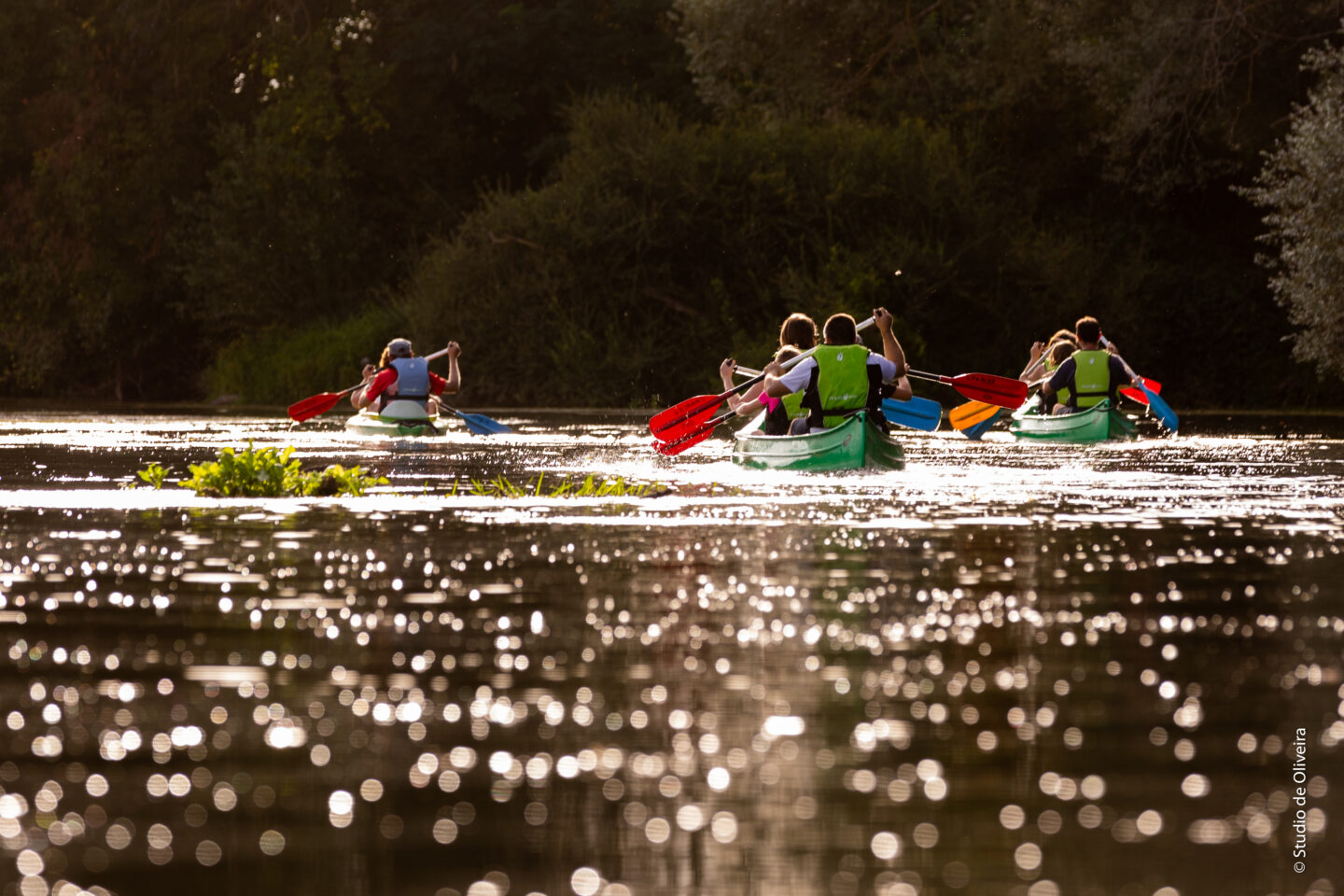 Randonnées Canoës Coucher de Soleil Châteauneuf-sur-Cher
