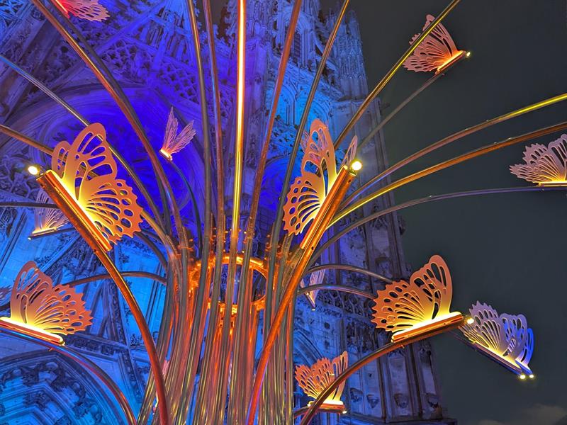 Rayonances Parcours lumineux Cathédrale Saint-Étienne de Toul Toul 2026-07-03