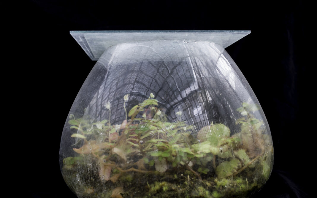 Réalisation avec des objets de récup’ d’un jardin miniature d’intérieur Maison du Jardinage et du Compostage PARIS