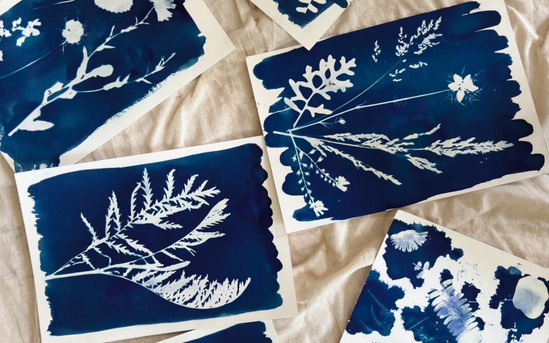 Réalisez votre cyanotype botanique ! Maison du Jardinage et du Compostage PARIS