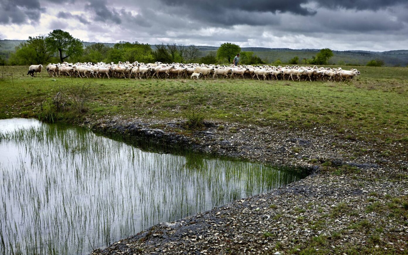Regards croisés sur le paysage et la biodiversité du Mont Saint-Cyr  Cahors