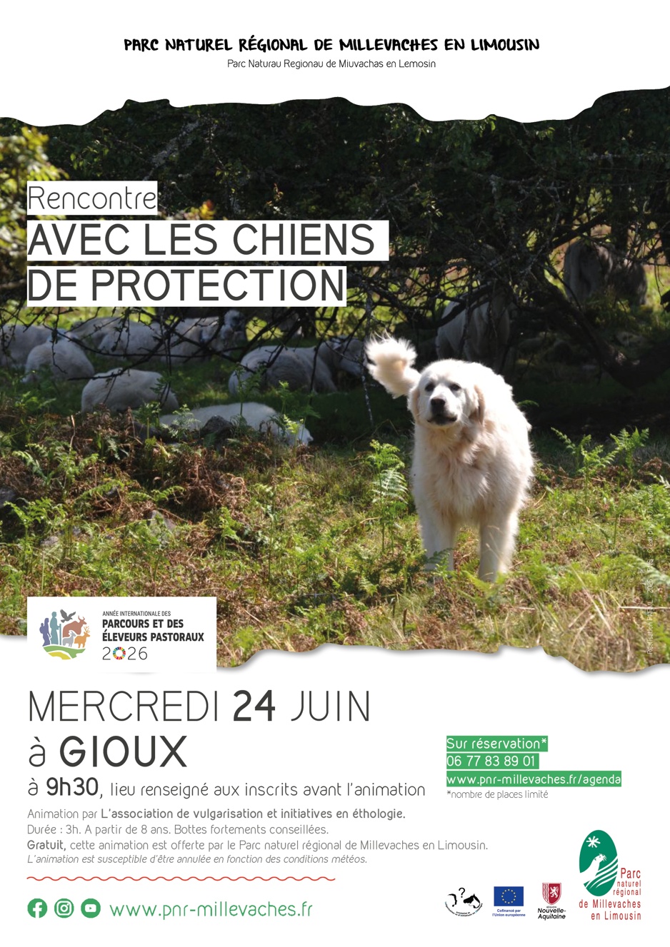 Rencontre avec les chiens de protection Gioux