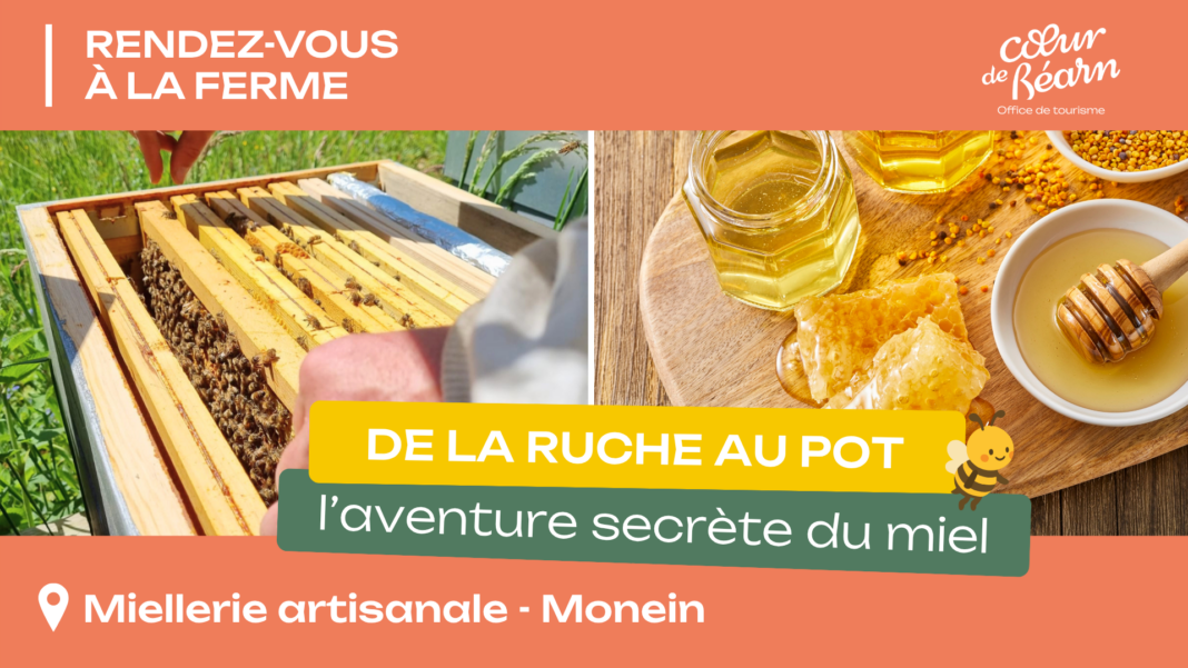 Rendez-vous à la ferme De la ruche au pot Miellerie artisanale Monein
