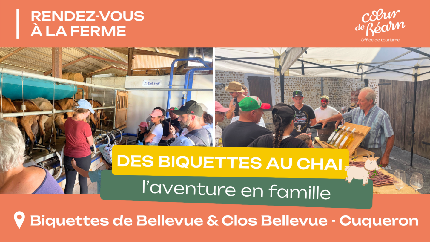 Rendez-vous à la ferme Des biquettes au chai 146 chemin des Vignes Cuqueron 2026-07-15