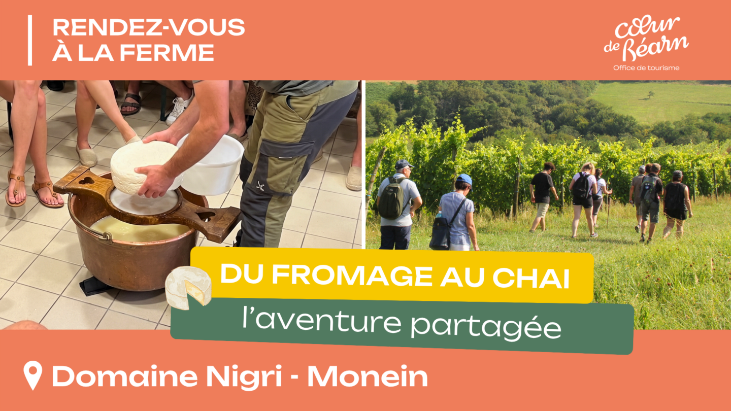Rendez-vous à la ferme Du fromage au chai Domaine Nigri Monein
