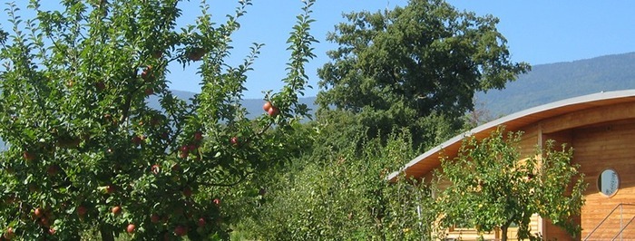 Rendez-vous aux jardins, Le Verger Tiocan, Péron