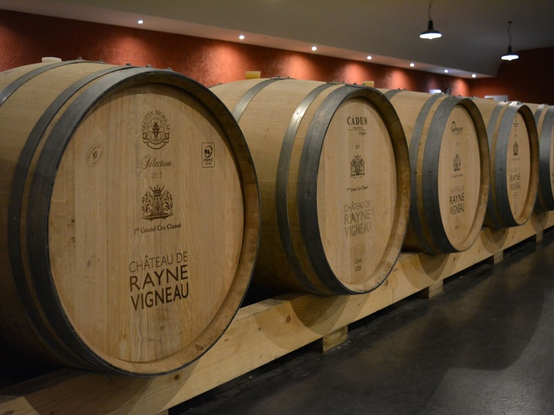 Rendez vous des Primeurs 2026 Château de Rayne Vigneau Bommes