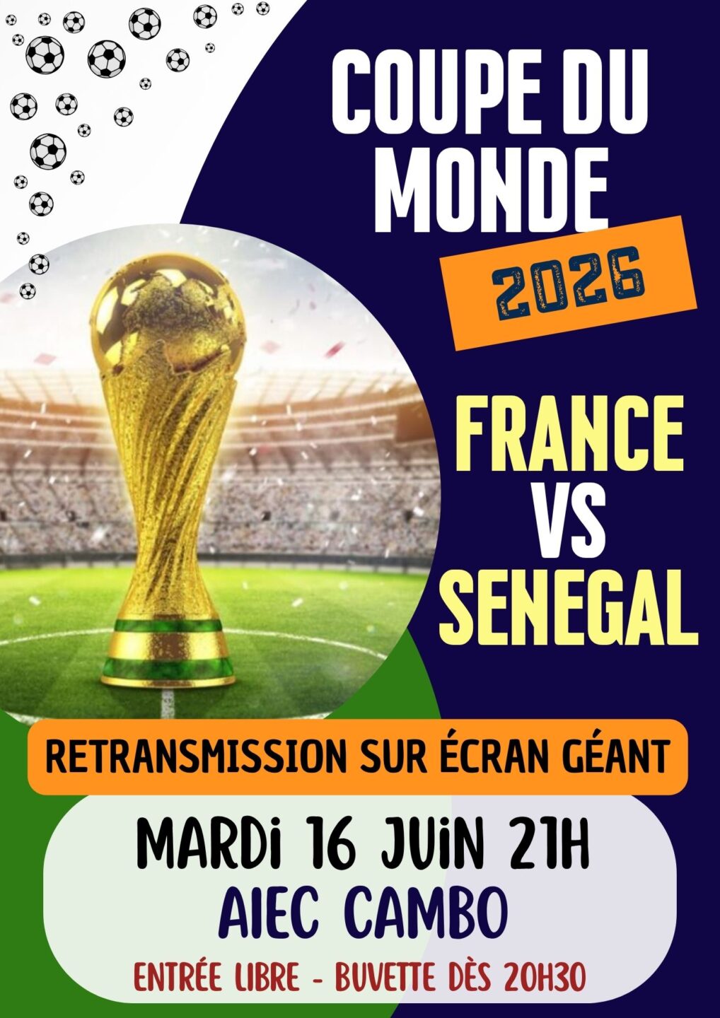 Retransmission coupe du monde France vs Senegal Cambo-les-Bains