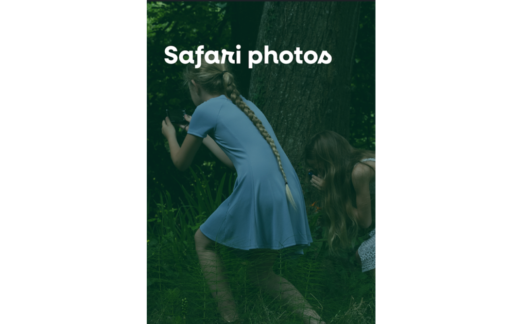 Safari photo Larrau