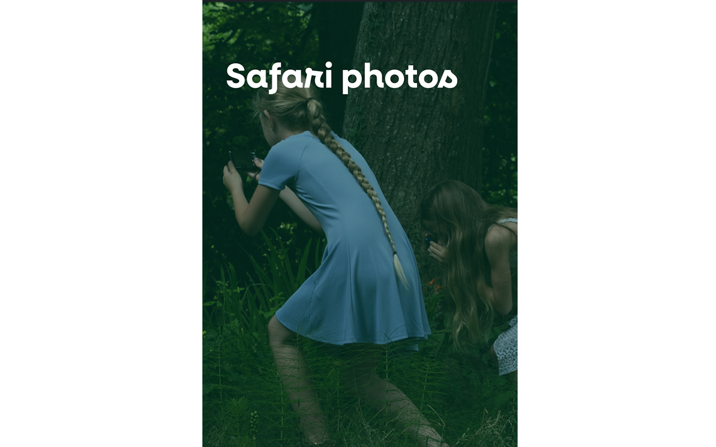 Safari photo Chalets d'Iraty Larrau 2026-10-20