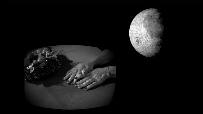Sahab Festival | Programmation de courts-métrages, imaginée par Lina Soualem, La Gaîté Lyrique, Paris