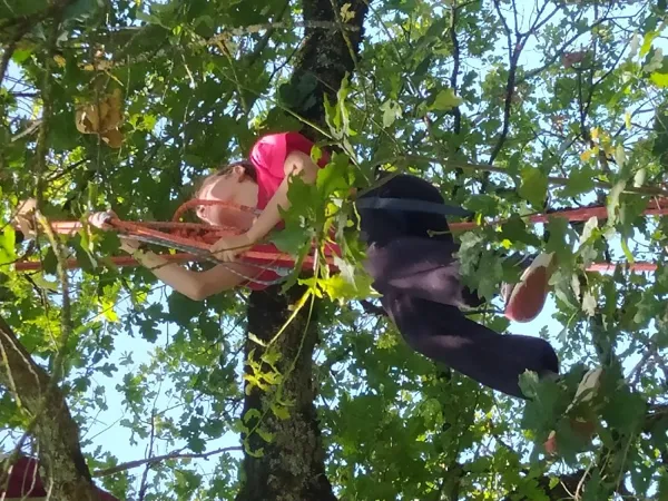 Séance découverte de grimpe d&rsquo;arbres avec Symbiose  Saint Geniez d&rsquo;Olt et d&rsquo;Aubrac